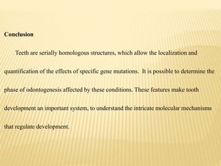 Conclusion
Teeth are serially homologous structures, which allow the localization and
quantification of the effects of specific gene mutations. It is possible to determine the
phase of odontogenesis affected by these conditions. These features make tooth
development an important system, to understand the intricate molecular mechanisms
that regulate development.
 