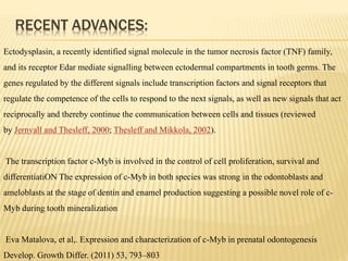 RECENT ADVANCES:
Ectodysplasin, a recently identified signal molecule in the tumor necrosis factor (TNF) family,
and its receptor Edar mediate signalling between ectodermal compartments in tooth germs. The
genes regulated by the different signals include transcription factors and signal receptors that
regulate the competence of the cells to respond to the next signals, as well as new signals that act
reciprocally and thereby continue the communication between cells and tissues (reviewed
by Jernvall and Thesleff, 2000; Thesleff and Mikkola, 2002).
The transcription factor c-Myb is involved in the control of cell proliferation, survival and
differentiatiON The expression of c-Myb in both species was strong in the odontoblasts and
ameloblasts at the stage of dentin and enamel production suggesting a possible novel role of c-
Myb during tooth mineralization
Eva Matalova, et al,. Expression and characterization of c-Myb in prenatal odontogenesis
Develop. Growth Differ. (2011) 53, 793–803
 