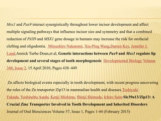 Msx1 and Pax9 interact synergistically throughout lower incisor development and affect
multiple signaling pathways that influence incisor size and symmetry and that a combined
reduction of PAX9 and MSX1 gene dosage in humans may increase the risk for orofacial
clefting and oligodontia. Mitsushiro Nakatomi, Xiu-Ping Wang,Darren Key, Jennifer J.
Lund,Annick Turbe-Doan,et al, Genetic interactions between Pax9 and Msx1 regulate lip
development and several stages of tooth morphogenesis Developmental Biology Volume
340, Issue 2, 15 April 2010, Pages 438–449
Zn affects biological events especially in tooth development, with recent progress uncovering
the roles of the Zn transporter Zip13 in mammalian health and diseases Toshiyuki
Fukada, Yoshinobu Asada, Kenji Mishima, Shinji Shimoda, Ichiro Saito Slc39a13/Zip13: A
Crucial Zinc Transporter Involved in Tooth Development and Inherited Disorders
Journal of Oral Biosciences Volume 57, Issue 1, Pages 1-44 (February 2015)
 