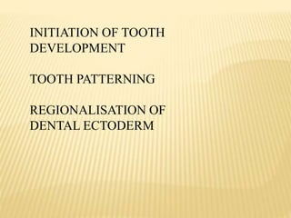 INITIATION OF TOOTH
DEVELOPMENT
TOOTH PATTERNING
REGIONALISATION OF
DENTAL ECTODERM
 
