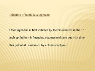 Initiation of tooth development:
Odontogenesis is first initiated by factors resident in the 1st
arch epithelium influencing ectomesenchyme but with time
this potential is assumed by ectomesenchyme
 