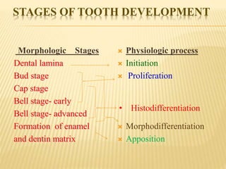 STAGES OF TOOTH DEVELOPMENT
Morphologic Stages
Dental lamina
Bud stage
Cap stage
Bell stage- early
Bell stage- advanced
Formation of enamel
and dentin matrix
 Physiologic process
 Initiation
 Proliferation
 Morphodifferentiation
 Apposition
• Histodifferentiation
 