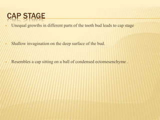 CAP STAGE
 Unequal growths in different parts of the tooth bud leads to cap stage
 Shallow invagination on the deep surface of the bud.
 Resembles a cap sitting on a ball of condensed ectomesenchyme .
 