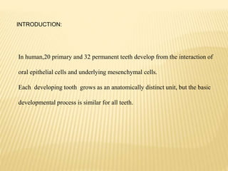 In human,20 primary and 32 permanent teeth develop from the interaction of
oral epithelial cells and underlying mesenchymal cells.
Each developing tooth grows as an anatomically distinct unit, but the basic
developmental process is similar for all teeth.
INTRODUCTION:
 
