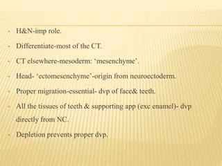  H&N-imp role.
 Differentiate-most of the CT.
 CT elsewhere-mesoderm: ‘mesenchyme’.
 Head- ‘ectomesenchyme’-origin from neuroectoderm.
 Proper migration-essential- dvp of face& teeth.
 All the tissues of teeth & supporting app (exc enamel)- dvp
directly from NC.
 Depletion prevents proper dvp.
 
