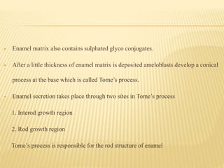  Enamel matrix also contains sulphated glyco conjugates.
 After a little thickness of enamel matrix is deposited ameloblasts develop a conical
process at the base which is called Tome’s process.
 Enamel secretion takes place through two sites in Tome’s process
1. Interod growth region
2. Rod growth region
Tome’s process is responsible for the rod structure of enamel
 
