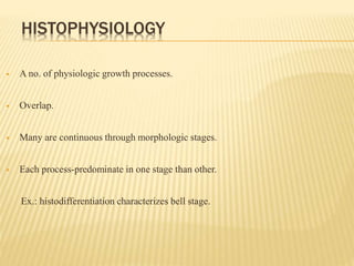 HISTOPHYSIOLOGY
 A no. of physiologic growth processes.
 Overlap.
 Many are continuous through morphologic stages.
 Each process-predominate in one stage than other.
Ex.: histodifferentiation characterizes bell stage.
 