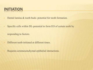 INITIATION
 Dental lamina & tooth buds- potential for tooth formation.
 Specific cells within DL-potential to form EO of certain teeth by
responding to factors.
 Different teeth-initiated at different times.
 Requires ectomesenchymal-epithelial interactions.
 