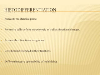 HISTODIFFERENTIATION
 Succeeds proliferative phase.
 Formative cells-definite morphologic as well as functional changes.
 Acquire their functional assignment.
 Cells become restricted in their functions.
 Differentiate; give up capability of multiplying.
 