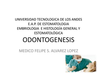 UNIVERSIDAD TECNOLOGICA DE LOS ANDES
E.A.P. DE ESTOMATOLOGIA
EMBRIOLOGIA E HISTOLOGÍA GENERAL Y
ESTOMATOLÓGICA
ODONTOGENESIS
MEDICO FELIPE S. ALVAREZ LOPEZ
 