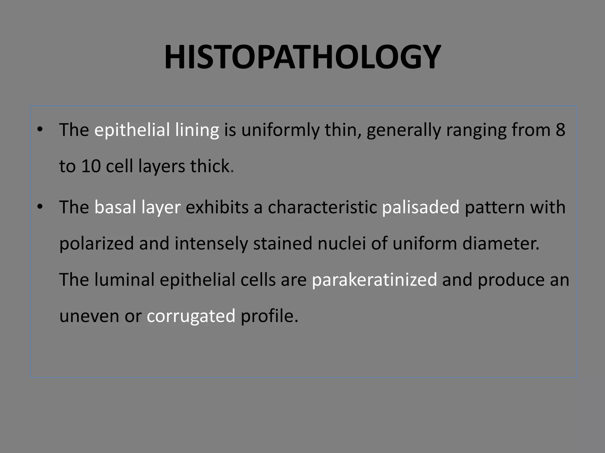• The epithelial lining is uniformly thin, generally ranging from 8
to 10 cell layers thick.
• The basal layer exhibits a characteristic palisaded pattern with
polarized and intensely stained nuclei of uniform diameter.
The luminal epithelial cells are parakeratinized and produce an
uneven or corrugated profile.
HISTOPATHOLOGY
 