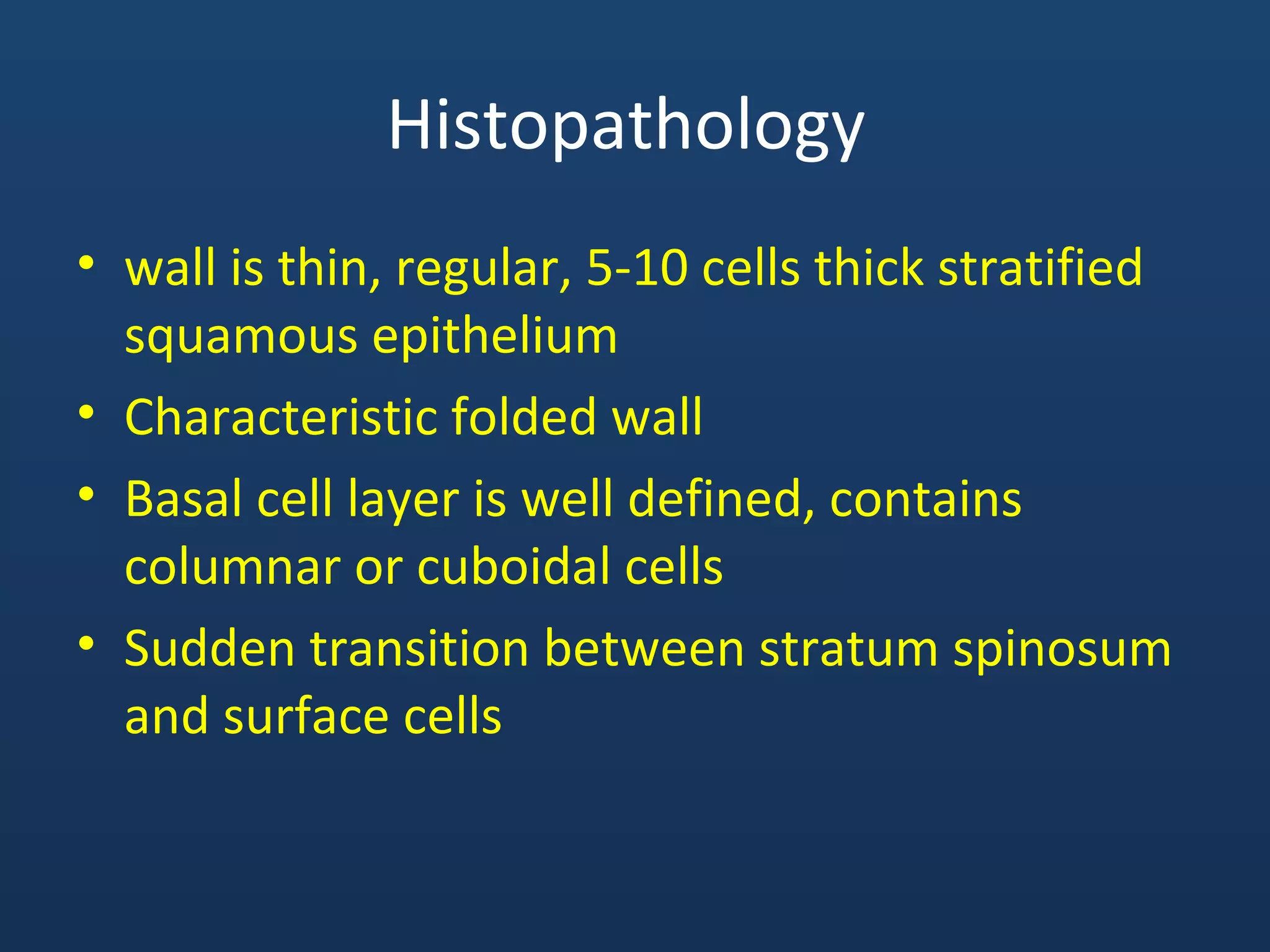 Histopathology
• wall is thin, regular, 5-10 cells thick stratified
squamous epithelium
• Characteristic folded wall
• Basal cell layer is well defined, contains
columnar or cuboidal cells
• Sudden transition between stratum spinosum
and surface cells
 