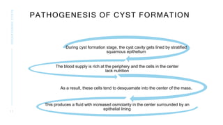 ODONTOGENIC CYSTS OF THE JAWS AND THE MANAGEMENT | PPTX
