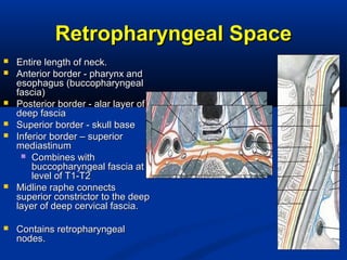 Retropharyngeal SpaceRetropharyngeal Space
 Entire length of neck.Entire length of neck.
 Anterior border - pharynx andAnterior border - pharynx and
esophagus (buccopharyngealesophagus (buccopharyngeal
fascia)fascia)
 Posterior border - alar layer ofPosterior border - alar layer of
deep fasciadeep fascia
 Superior border - skull baseSuperior border - skull base
 Inferior border – superiorInferior border – superior
mediastinummediastinum
 Combines withCombines with
buccopharyngeal fascia atbuccopharyngeal fascia at
level of T1-T2level of T1-T2
 Midline raphe connectsMidline raphe connects
superior constrictor to the deepsuperior constrictor to the deep
layer of deep cervical fascia.layer of deep cervical fascia.
 Contains retropharyngealContains retropharyngeal
nodes.nodes.
 