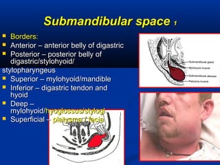 Submandibular spaceSubmandibular space 11
 Borders:Borders:
 Anterior – anterior belly of digastricAnterior – anterior belly of digastric
 Posterior – posterior belly ofPosterior – posterior belly of
digastric/stylohyoid/digastric/stylohyoid/
stylopharyngeusstylopharyngeus
 Superior – mylohyoid/mandibleSuperior – mylohyoid/mandible
 Inferior – digastric tendon andInferior – digastric tendon and
hyoidhyoid
 Deep –Deep –
mylohyoid/mylohyoid/hyoglossus/styloglhyoglossus/stylogl
 Superficial –Superficial – platysma / faciaplatysma / facia
 