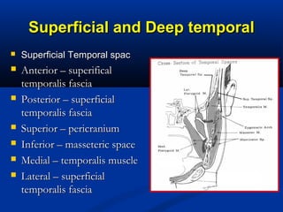 Superficial and Deep temporalSuperficial and Deep temporal
 Superficial Temporal spacSuperficial Temporal spac
 Anterior – superificalAnterior – superifical
temporalis fasciatemporalis fascia
 Posterior – superficialPosterior – superficial
temporalis fasciatemporalis fascia
 Superior – pericraniumSuperior – pericranium
 Inferior – masseteric spaceInferior – masseteric space
 Medial – temporalis muscleMedial – temporalis muscle
 Lateral – superficialLateral – superficial
temporalis fasciatemporalis fascia
 