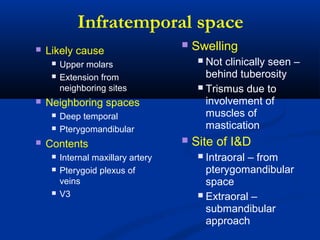Infratemporal space
 Likely cause
 Upper molars
 Extension from
neighboring sites
 Neighboring spaces
 Deep temporal
 Pterygomandibular
 Contents
 Internal maxillary artery
 Pterygoid plexus of
veins
 V3
 Swelling
 Not clinically seen –
behind tuberosity
 Trismus due to
involvement of
muscles of
mastication
 Site of I&D
 Intraoral – from
pterygomandibular
space
 Extraoral –
submandibular
approach
 