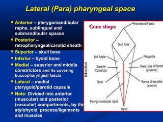 Lateral (Para) pharyngeal spaceLateral (Para) pharyngeal space
 Anterior – pterygomandibular
raphe, sublingual and
submandibular spaces
 Posterior –
retropharyngeal/carotid sheath
 Superior – skull base
 Inferior – hyoid bone
 Medial – superior and middle
constrictors and its coveringand its covering
buccopharyngeal fasciabuccopharyngeal fascia
 Lateral – medial
pterygoid/parotid capsule
 Note: Divided into anterior
(muscular) and posterior
(vascular) compartments, by the
stylohyoid process/ligaments
and muscles
Cone shapeCone shape
 