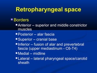 Retropharyngeal space
 Borders
 Anterior – superior and middle constrictor
muscles
 Posterior – alar fascia
 Superior – cranial base
 Inferior – fusion of alar and prevertebral
fascia (upper mediastinum - C6-T4)
 Medial – midline
 Lateral – lateral pharyngeal space/carotid
sheath
 