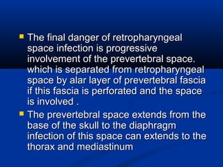  The final danger of retropharyngealThe final danger of retropharyngeal
space infection is progressivespace infection is progressive
involvement of the prevertebral space.involvement of the prevertebral space.
which is separated from retropharyngealwhich is separated from retropharyngeal
space by alar layer of prevertebral fasciaspace by alar layer of prevertebral fascia
if this fascia is perforated and the spaceif this fascia is perforated and the space
is involved .is involved .
 The prevertebral space extends from theThe prevertebral space extends from the
base of the skull to the diaphragmbase of the skull to the diaphragm
infection of this space can extends to theinfection of this space can extends to the
thorax and mediastinumthorax and mediastinum
 