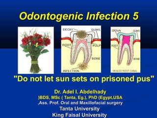 Odontogenic Infection 5Odontogenic Infection 5
Dr. Adel I. AbdelhadyDr. Adel I. Abdelhady
BDS, MSc ( Tanta, Eg.), PhD (Egypt,USABDS, MSc ( Tanta, Eg.), PhD (Egypt,USA))
Ass. Prof. Oral and Maxillofacial surgeryAss. Prof. Oral and Maxillofacial surgery,,
Tanta UniversityTanta University
King Faisal UniversityKing Faisal University
"Do not let sun sets on prisoned pus"
 