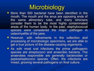 MicrobiologyMicrobiology
 More than 500 bacterial have been identified in theMore than 500 bacterial have been identified in the
mouth. The mouth and the anus are opposing ends ofmouth. The mouth and the anus are opposing ends of
the same alimentary tube, and many cliniciansthe same alimentary tube, and many clinicians
consider them to be the most highly contaminatedconsider them to be the most highly contaminated
areas of the human body. In the past, staphylococcalareas of the human body. In the past, staphylococcal
species were considered the major pathogen inspecies were considered the major pathogen in
osteomyelitis of the jaws.osteomyelitis of the jaws.
 However, with refinements in the collection andHowever, with refinements in the collection and
processing of microbiologic specimens, we are able toprocessing of microbiologic specimens, we are able to
get a true picture of the disease-causing organisms.get a true picture of the disease-causing organisms.
 As with most oral infections the prime pathogenicAs with most oral infections the prime pathogenic
species are streptococci and anaerobic bacteria. Thespecies are streptococci and anaerobic bacteria. The
anaerobes responsible are generally bacteroides oranaerobes responsible are generally bacteroides or
peptostreptococci species. Often, the infections arepeptostreptococci species. Often, the infections are
mixed, growing several pathogens on final culture.mixed, growing several pathogens on final culture.
 