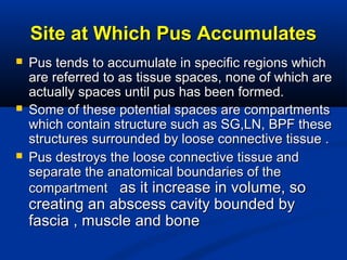 Site at Which Pus AccumulatesSite at Which Pus Accumulates
 Pus tends to accumulate in specific regions whichPus tends to accumulate in specific regions which
are referred to as tissue spaces, none of which areare referred to as tissue spaces, none of which are
actually spaces until pus has been formed.actually spaces until pus has been formed.
 Some of these potential spaces are compartmentsSome of these potential spaces are compartments
which contain structure such as SG,LN, BPF thesewhich contain structure such as SG,LN, BPF these
structures surrounded by loose connective tissue .structures surrounded by loose connective tissue .
 Pus destroys the loose connective tissue andPus destroys the loose connective tissue and
separate the anatomical boundaries of theseparate the anatomical boundaries of the
compartmentcompartment as it increase in volume, soas it increase in volume, so
creating an abscess cavity bounded bycreating an abscess cavity bounded by
fascia , muscle and bonefascia , muscle and bone
 