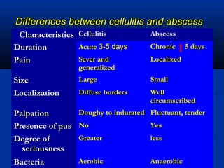 Differences between cellulitis and abscessDifferences between cellulitis and abscess
CharacteristicsCharacteristics CellulitisCellulitis AbscessAbscess
DurationDuration AcuteAcute 3-5 days3-5 days Chronic 5 daysChronic 5 days
PainPain Sever andSever and
generalizedgeneralized
LocalizedLocalized
SizeSize LargeLarge SmallSmall
LocalizationLocalization Diffuse bordersDiffuse borders WellWell
circumscribedcircumscribed
PalpationPalpation Doughy to induratedDoughy to indurated Fluctuant, tenderFluctuant, tender
Presence of pusPresence of pus NoNo YesYes
Degree ofDegree of
seriousnessseriousness
GreaterGreater lessless
BacteriaBacteria AerobicAerobic AnaerobicAnaerobic
 