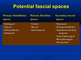 Potential fascial spacesPotential fascial spaces
Primary MandibularPrimary Mandibular
spacesspaces
Primary MaxillaryPrimary Maxillary
spacesspaces
Secondary fascialSecondary fascial
spacesspaces
SublingualSublingual
 BuccalBuccal
SubmandibularSubmandibular
SubmentalSubmental
CanineCanine
BuccalBuccal
InfratemporalInfratemporal
MassetericMasseteric
PterygomandibularPterygomandibular
Superficial and deepSuperficial and deep
temporaltemporal
Lateral pharyngealLateral pharyngeal
RetropharyngealRetropharyngeal
PrevertebralPrevertebral
 