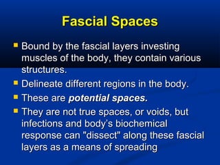 Fascial SpacesFascial Spaces
 Bound by the fascial layers investingBound by the fascial layers investing
muscles of the body, they contain variousmuscles of the body, they contain various
structures.structures.
 Delineate different regions in the body.Delineate different regions in the body.
 These areThese are potential spaces.potential spaces.
 They are not true spaces, or voids, butThey are not true spaces, or voids, but
infections and body’s biochemicalinfections and body’s biochemical
response can "dissect" along these fascialresponse can "dissect" along these fascial
layers as a means of spreadinglayers as a means of spreading
 