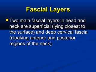 Fascial LayersFascial Layers
 Two main fascial layers in head andTwo main fascial layers in head and
neck are superficial (lying closest toneck are superficial (lying closest to
the surface) and deep cervical fasciathe surface) and deep cervical fascia
(cloaking anterior and posterior(cloaking anterior and posterior
regions of the neck).regions of the neck).
 