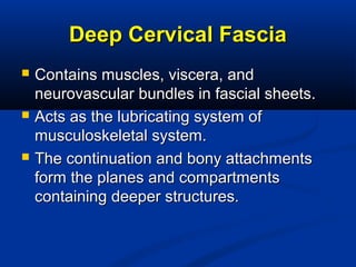 Deep Cervical FasciaDeep Cervical Fascia
 Contains muscles, viscera, andContains muscles, viscera, and
neurovascular bundles in fascial sheets.neurovascular bundles in fascial sheets.
 Acts as the lubricating system ofActs as the lubricating system of
musculoskeletal system.musculoskeletal system.
 The continuation and bony attachmentsThe continuation and bony attachments
form the planes and compartmentsform the planes and compartments
containing deeper structures.containing deeper structures.
 