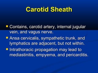 Carotid SheathCarotid Sheath
 Contains, carotid artery, internal jugularContains, carotid artery, internal jugular
vein, and vagus nerve.vein, and vagus nerve.
 Ansa cervicalis, sympathetic trunk, andAnsa cervicalis, sympathetic trunk, and
lymphatics are adjacent, but not within.lymphatics are adjacent, but not within.
 Intrathoracic propagation may lead toIntrathoracic propagation may lead to
mediastinitis, empyema, and pericarditis.mediastinitis, empyema, and pericarditis.
 