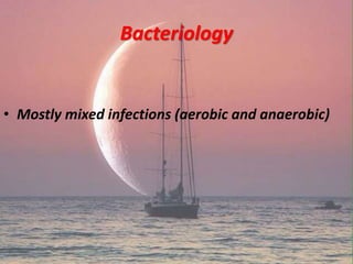 Bacteriology
• Mostly mixed infections (aerobic and anaerobic)
 