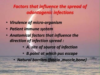 Factors that influence the spread of
odontogenic infections
• Virulence of micro-organism
• Patient immune system
• Anatomical factors that influence the
direction of infection spread :
• A. site of source of infection
• B.point at which pus escape
• Natural barriers (fascia ,muscle,bone)
 