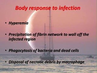 Body response to infection
• Hyperemia
• Precipitation of fibrin network to wall off the
infected region
• Phagocytosis of bacteria and dead cells
• Disposal of necrotic debris by macrophage
 