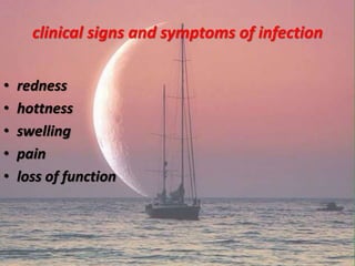 clinical signs and symptoms of infection
• redness
• hottness
• swelling
• pain
• loss of function
 