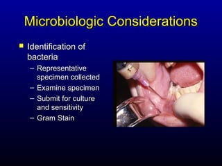 Microbiologic Considerations
   Identification of
    bacteria
    – Representative
      specimen collected
    – Examine specimen
    – Submit for culture
      and sensitivity
    – Gram Stain
 