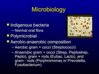 Microbiology

   Indigenous bacteria
    – Normal oral flora
 Polymicrobial
 Aerobic-anaerobic composition
    – Aerobic gram + cocci (Streptococci)
    – Anaerobic gram + cocci (Strep, Peptostrep,
      Pepto), gram + rods (Eubac, Lacto), and
      gram - rods (Porphromonas or Prevotella,
      Fusobacterium)
 