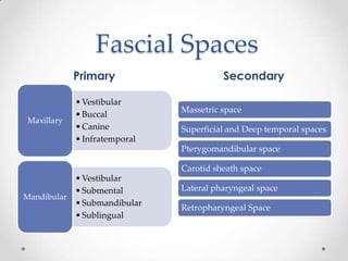 Fascial Spaces
Primary Secondary
•Vestibular
•Buccal
•Canine
•Infratemporal
Maxillary
•Vestibular
•Submental
•Submandibular
•Sublingual
Mandibular
Massetric space
Superficial and Deep temporal spaces
Pterygomandibular space
Carotid sheath space
Lateral pharyngeal space
Retropharyngeal Space
 