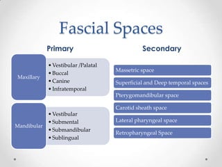 Fascial Spaces
Primary Secondary
•Vestibular /Palatal
•Buccal
•Canine
•Infratemporal
Maxillary
•Vestibular
•Submental
•Submandibular
•Sublingual
Mandibular
Massetric space
Superficial and Deep temporal spaces
Pterygomandibular space
Carotid sheath space
Lateral pharyngeal space
Retropharyngeal Space
 