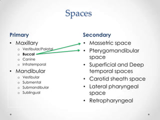 Spaces
Primary Secondary
• Maxillary
o Vestibular/Palatal
o Buccal
o Canine
o Infratemporal
• Mandibular
o Vestibular
o Submental
o Submandibular
o Sublingual
• Massetric space
• Pterygomandibular
space
• Superficial and Deep
temporal spaces
• Carotid sheath space
• Lateral pharyngeal
space
• Retropharyngeal
 
