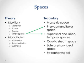 Spaces
Primary Secondary
• Maxillary
o Vestibular
o Buccal
o Canine
o Infratemporal
• Mandibular
o Submental
o Submandibular
o Sublingual
• Massetric space
• Pterygomandibular
space
• Superficial and Deep
temporal spaces
• Carotid sheath space
• Lateral pharyngeal
space
• Retropharyngeal
 