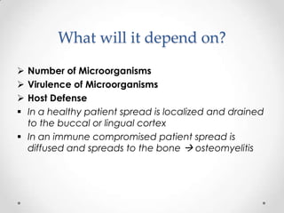 What will it depend on?
 Number of Microorganisms
 Virulence of Microorganisms
 Host Defense
 In a healthy patient spread is localized and drained
to the buccal or lingual cortex
 In an immune compromised patient spread is
diffused and spreads to the bone  osteomyelitis
 