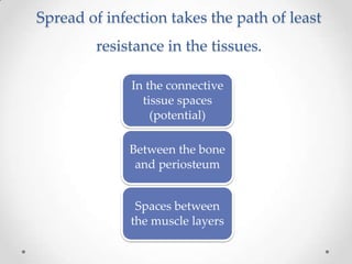 Spread of infection takes the path of least
resistance in the tissues.
In the connective
tissue spaces
(potential)
Between the bone
and periosteum
Spaces between
the muscle layers
 