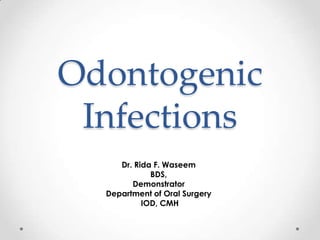 Odontogenic
Infections
Dr. Rida F. Waseem
BDS,
Demonstrator
Department of Oral Surgery
IOD, CMH
 