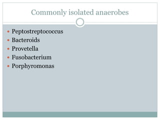 Commonly isolated anaerobes
 Peptostreptococcus
 Bacteroids
 Provetella
 Fusobacterium
 Porphyromonas
 