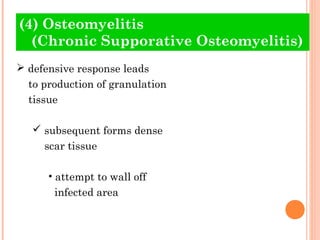 (4) Osteomyelitis
  (Chronic Supporative Osteomyelitis)
 defensive response leads
  to production of granulation
  tissue

    subsequent forms dense
     scar tissue

      • attempt to wall off
       infected area
 
