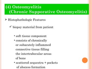 (4) Osteomyelitis
  (Chronic Supporative Osteomyelitis)
 Histophathologic Features

    biopsy material from patient

      • soft tissue component
      • consists of chronically
        or subacutely inflammed
        connective tissue filling
        the intertrabecular areas
        of bone
      • scattered sequestra + pockets
         of abscess formation
 