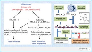 Contoso
S u i t e s
43
 